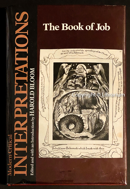Book of Job: Modern Critical Interpretation series