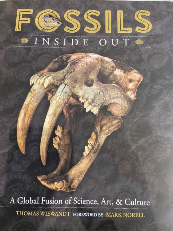 Fossils Inside Out: A Global Fusion of Science, Art, & Culture
