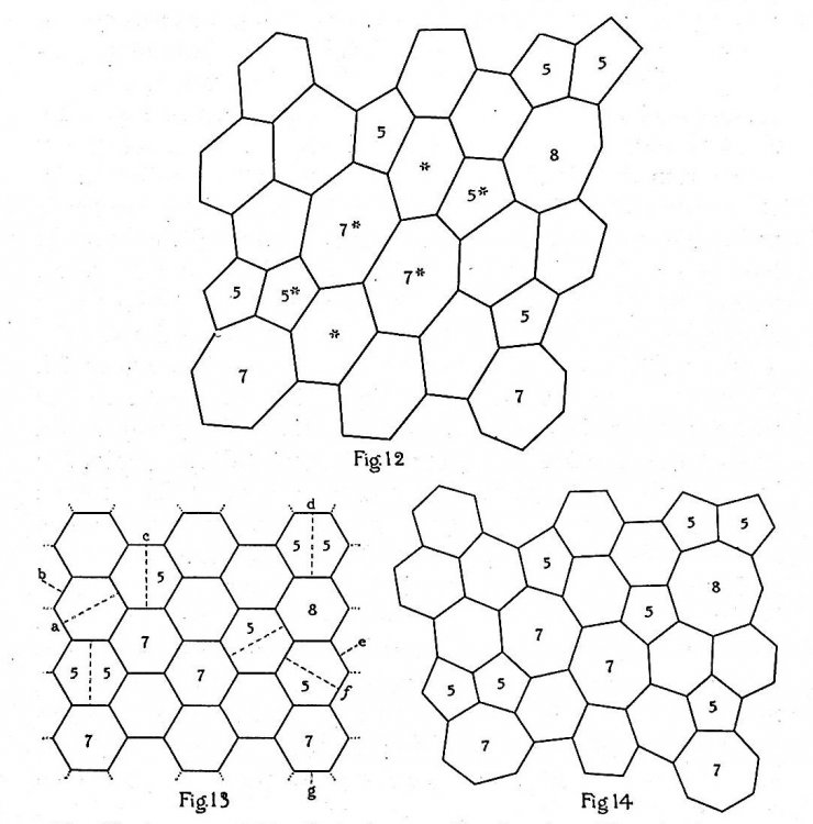 The effect of cell division on the shape and size of hexagonal cells TOGETHER WITH 6 additional offprints