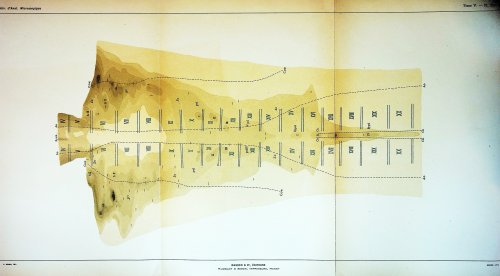 l'Origine des Glandes Annexes de l'Intestin Moyen chez les Vertebres