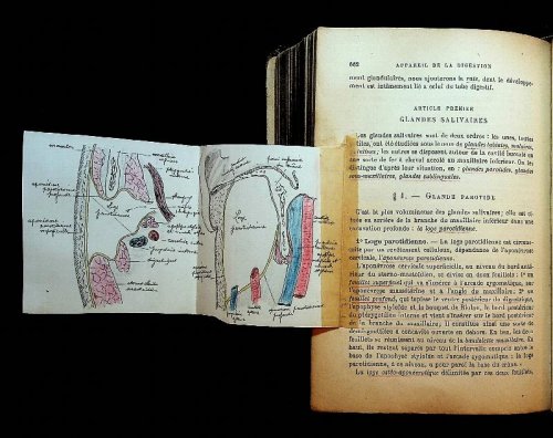 Precis d'Anatomie Descriptive. Aide-Memoire a l'Usage des Candidats au Premier Examen de Doctorat