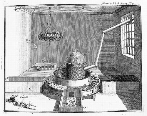 Art de Faire Eclorre de d'Elever en Toute Saison des Oiseaux Domestiques de Toutes Especes, Soit par le Moyen de la Chaleur du Fumier, Soit par le Moyen de Celle du Feu Ordinaire