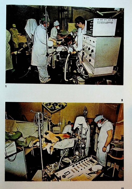 Brno-Experiments in Long Term Survival with Total Artificial Heart