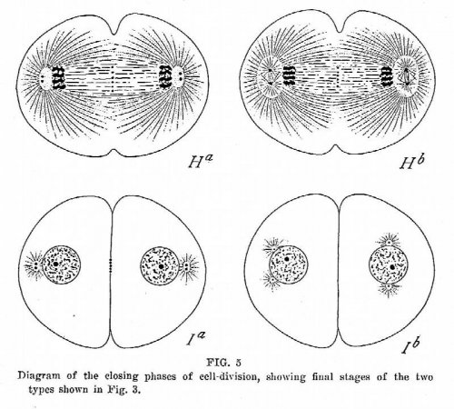 The Physical Basis of Life