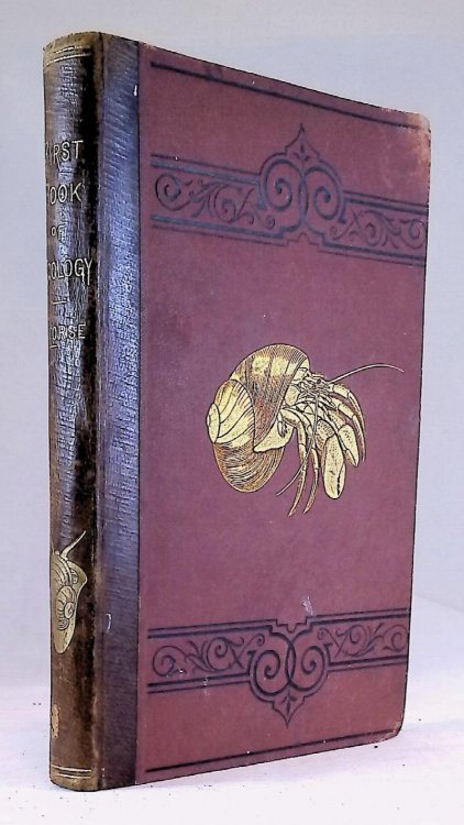 First Book of Zoology