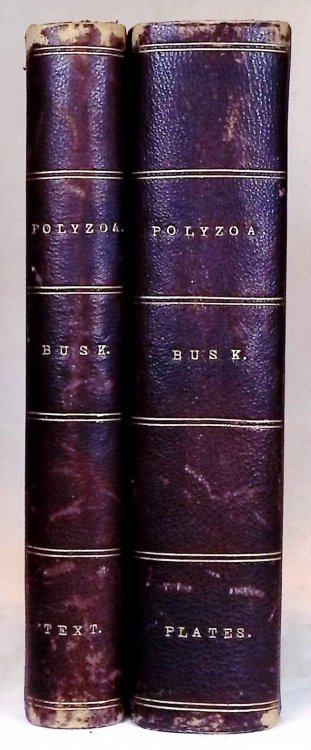 Catalogue of Marine Polyzoa in the Collection of the British Museum
