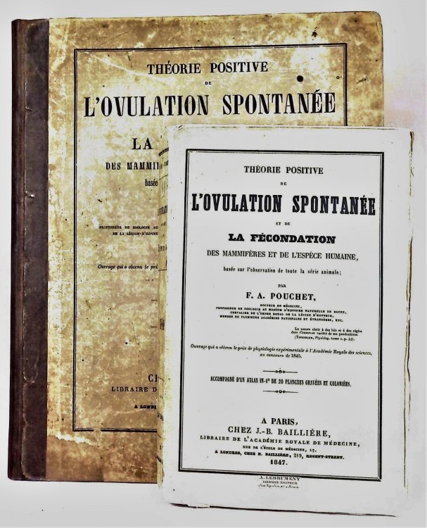 Theorie Positive de l'Ovulation Spontanee et de la Fecondation des Mammiferes et de l'Espece Humaine