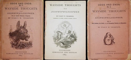 Wayside Thoughts of an Asophophilosopher, No. 1. Rainy Weather; or, the Philosophy of Sorrow; Gooseskin; or, the Philosophy of Horror; Te Deum Laudamus; or, the Philosophy of Joy; No. 2. On Asses and the Life Asinine; On History; On Plagues; No. 3. Not Godless but Godly: A Triangular Essay on Educat