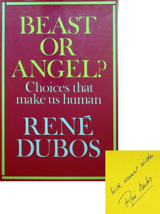 Beast or Angel Choices that make us human