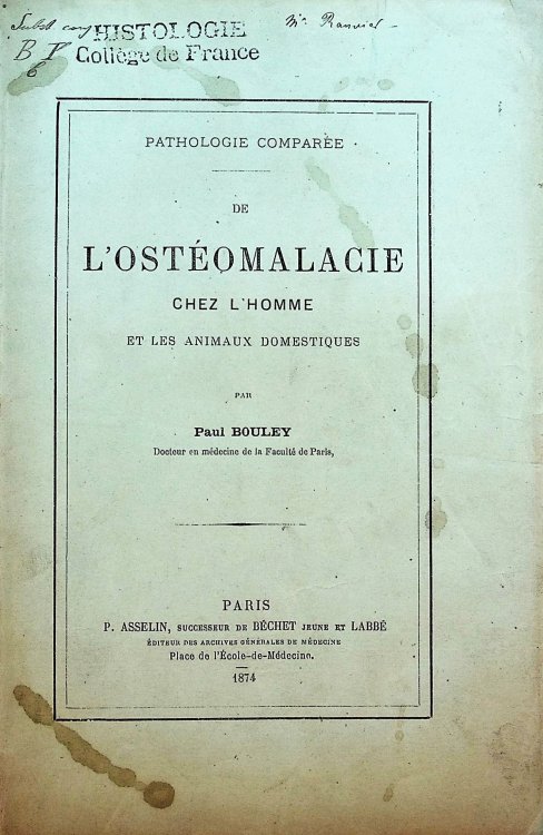 Pathologie Comparee de l'Osteomalacie Chez l'Homme et les Animaux Domestiques [Comparative Pathology of Osteomalacia in Humans and Domestic Animals]