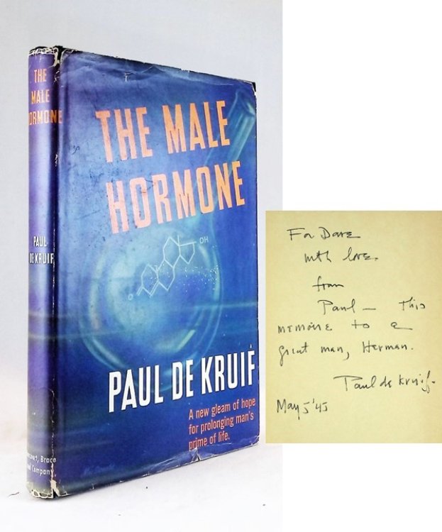 The Male Hormone