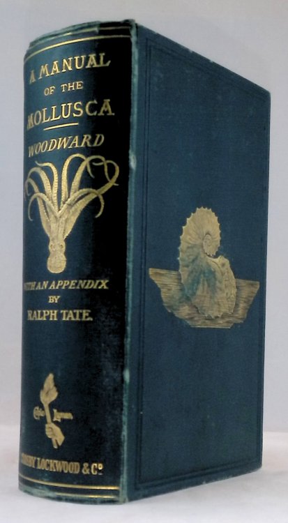 A Manual of the Mollusca, Being a Treatise on Recent and Fossil Shells