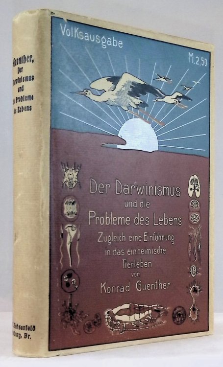 Der Darwinismus und die Probleme des Lebens. Zugleich eine Einfiihrung in das einheimische Tierleben [Of Darwinism and the Problems of Life. Also an Introduction to Native Animal Life]
