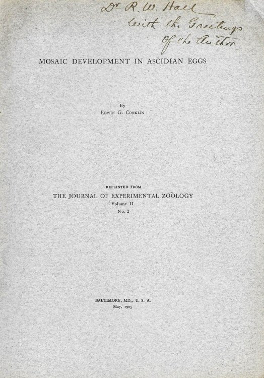 Mosaic Development in Ascidian Eggs