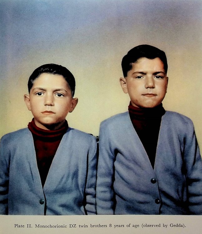 Twins in History and Science