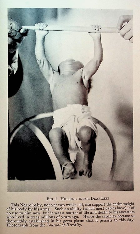 The Child's Heredity