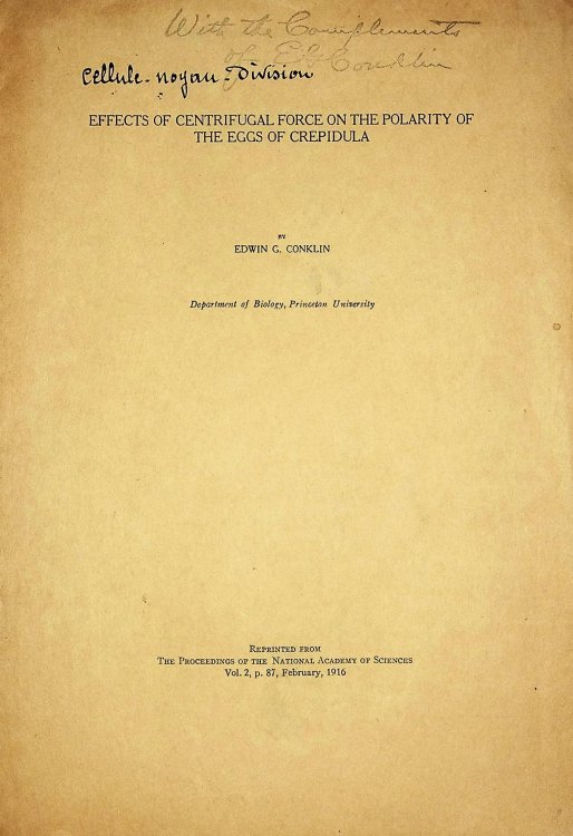 1. Effects of centrifugal force on the polarity of the egg of Crepidula. Proceedings of the National Academy of Sciences Vol. 2 p 87, Feb 1916 TOGETHER WITH 2. Effects of centrifugal force on the structure and development of Crepidula. Journal of Experimental Zoology Vol. 22 (2), pp 311-419, 23 plat