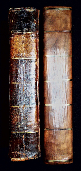 Human Physiology, illustrated by numerous engravings