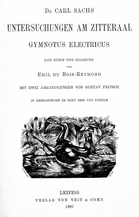 Untersuchungen am Zitteraal, Gymnotus Electricus. Nach seinem tode bearbeitet von Emil du Bois-Reymond. Mit zwei abhandlungen von Gustav Fritsch. [Examinations of the electric eel, Gymnotus electricus. Edited by Emil du Bois-Reymond after his (Carl Sachs) death. With two treatises by Gustav Fritsch.