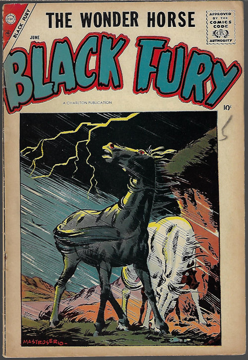 BLACK FURY: June #14