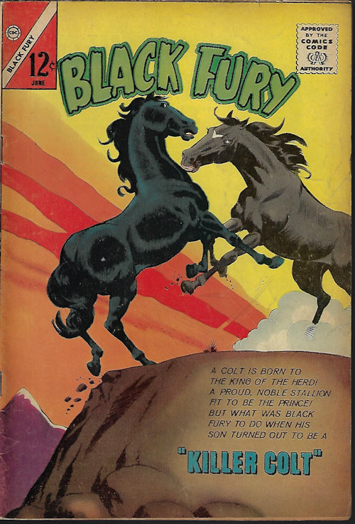 BLACK FURY: June #42