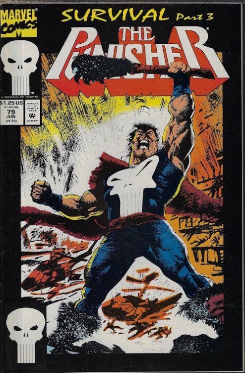 THE PUNISHER: Jun #79