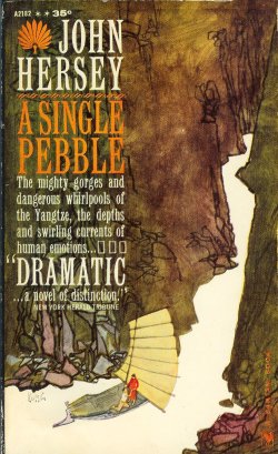 A SINGLE PEBBLE