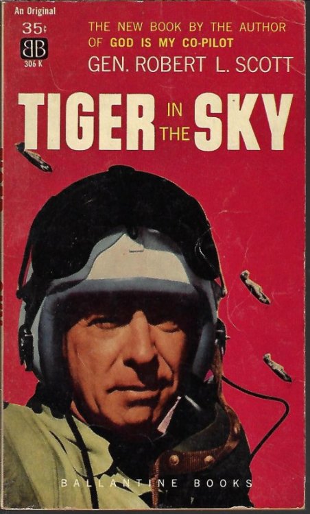 TIGER IN THE SKY