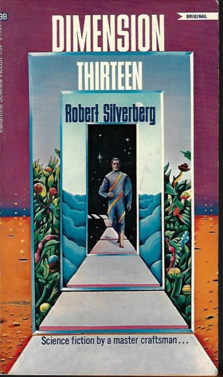 DIMENSION THIRTEEN