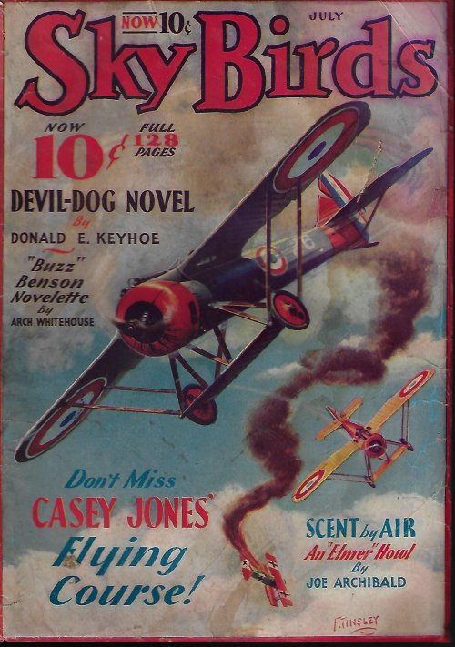 SKY BIRDS: July 1933