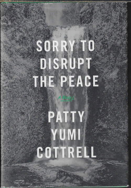 SORRY TO DISRUPT YOUR PEACE