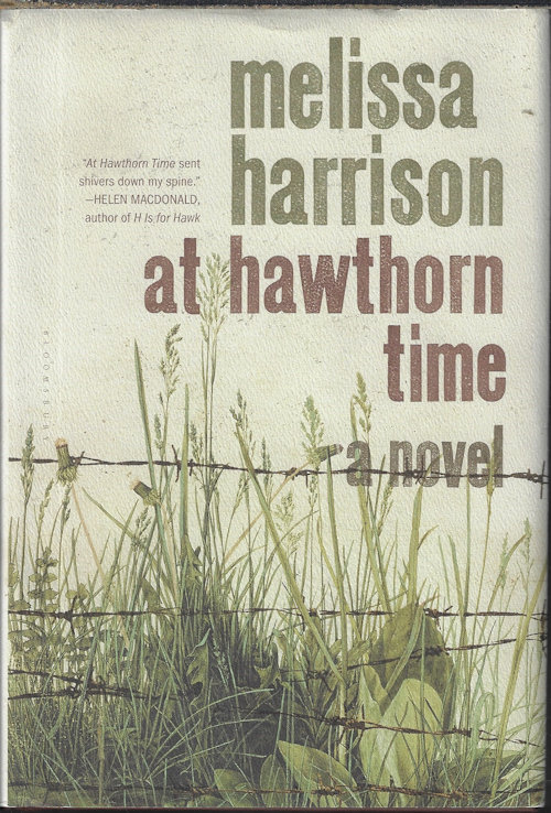 AT HAWTHORN TIME; A Novel