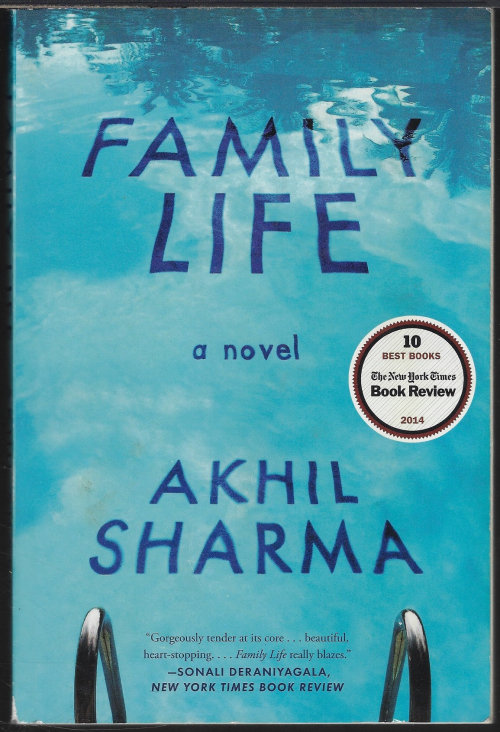 FAMILY LIFE; A Novel