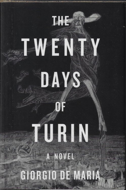 THE TWENTY DAYS OF TURIN; A Novel