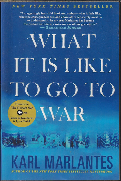 WHAT IT IS LIKE TO GO TO WAR