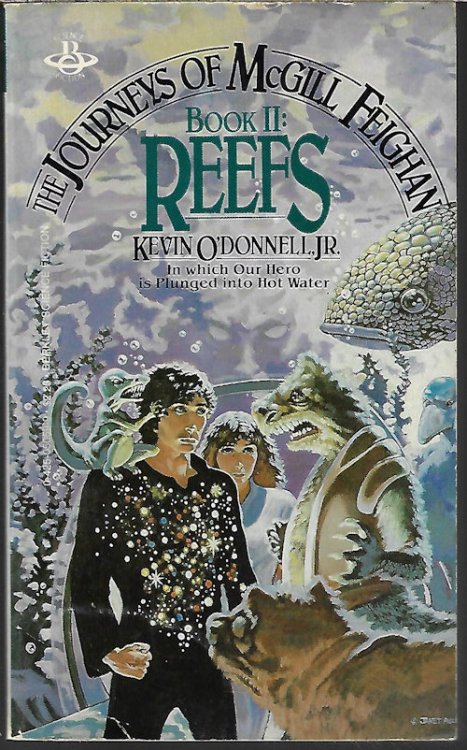 REEFS; Book II of the Journeys of McGill Feighan