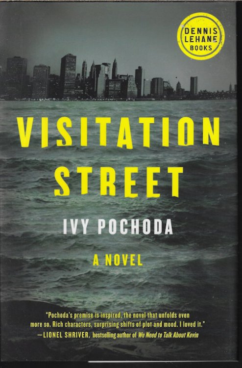 VISITATION STREET: A Novel