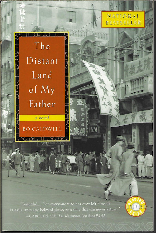 THE DISTANT LAND OF MY FATHER