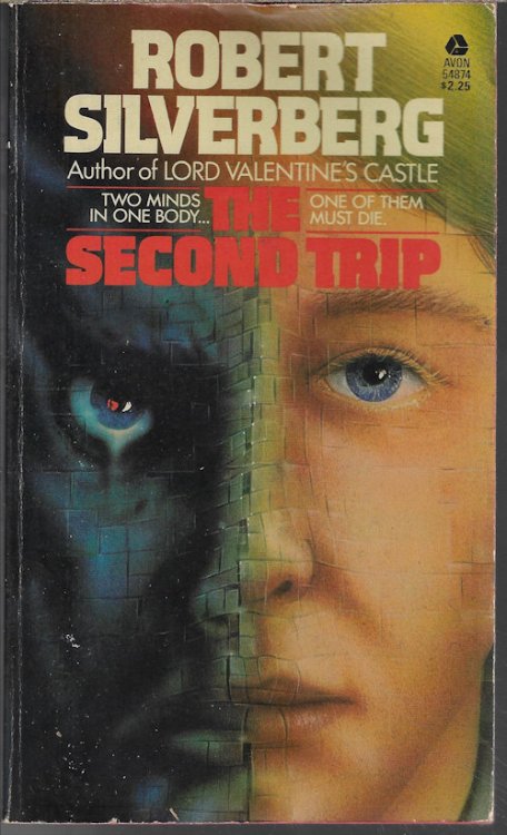 THE SECOND TRIP