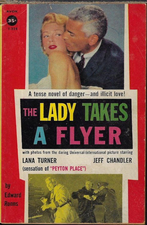 THE LADY TAKES A FLYER