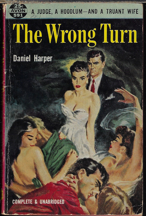 Image for THE WRONG TURN THE WRONG TURN