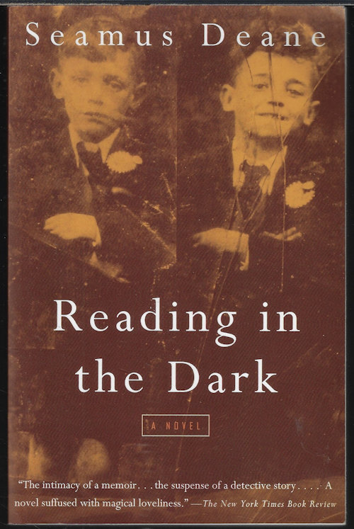 READING IN THE DARK; A Novel