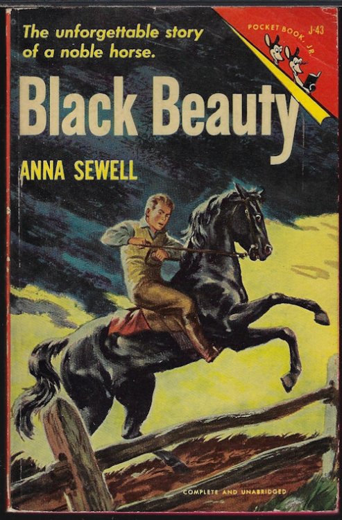 BLACK BEAUTY