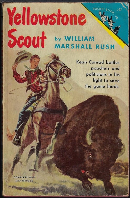 YELLOWSTONE SCOUT