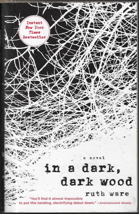 IN A DARK, DARK WOOD; A Novel