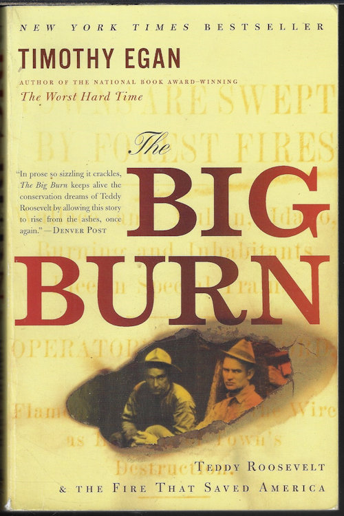 THE BIG BURN; Teddy Roosevelt & the Fire That Saved America