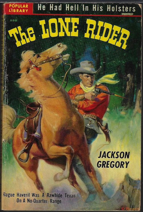 Image for THE LONE RIDER THE LONE RIDER