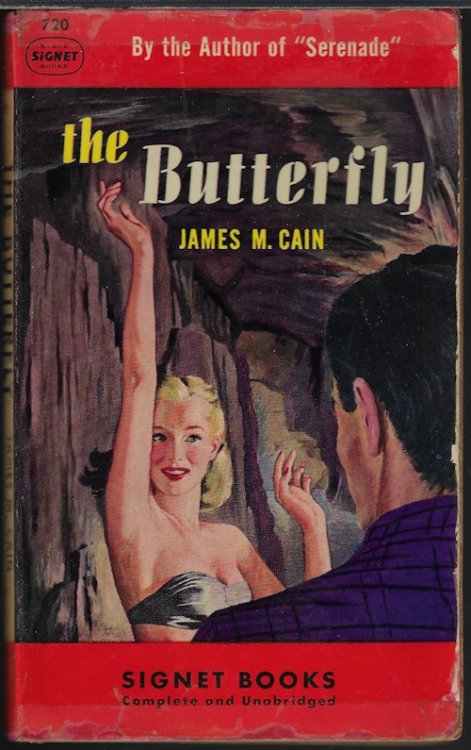 THE BUTTERFLY