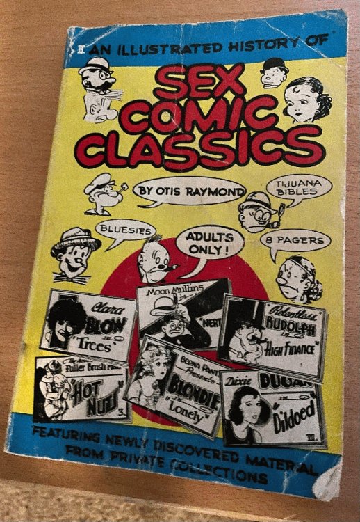 An Illustrated History of Sex Comic Classics: Vol 1