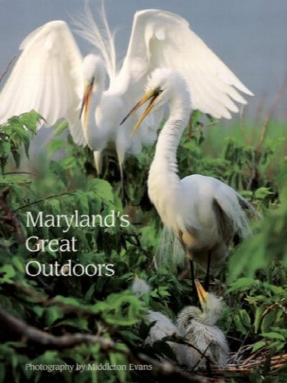 Maryland's Great Outdoors